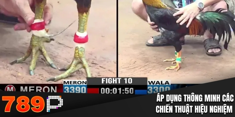 Áp dụng thông minh các chiến thuật hiệu nghiệm