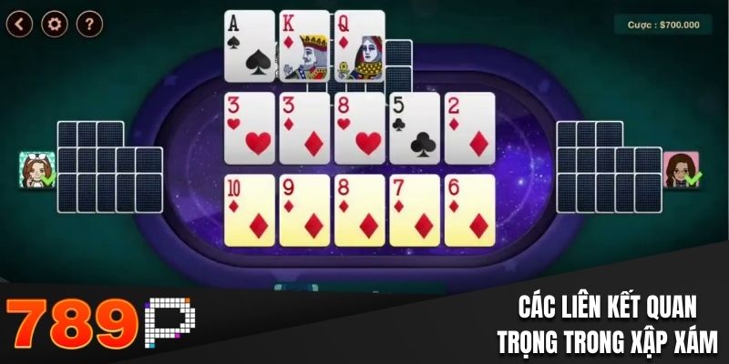 Các liên kết quan trọng trong bài xập xám