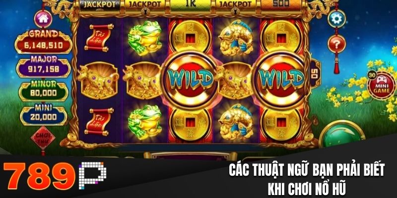 Các thuật ngữ bạn phải biết khi chơi Nổ Hũ