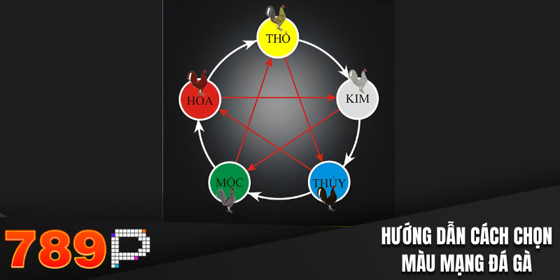 Hướng dẫn cách chọn màu mạng đá gà